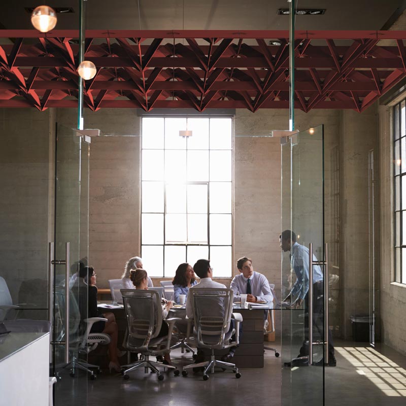 14six8 Vine Acoustic Raft - Muffle Acoustics Limited