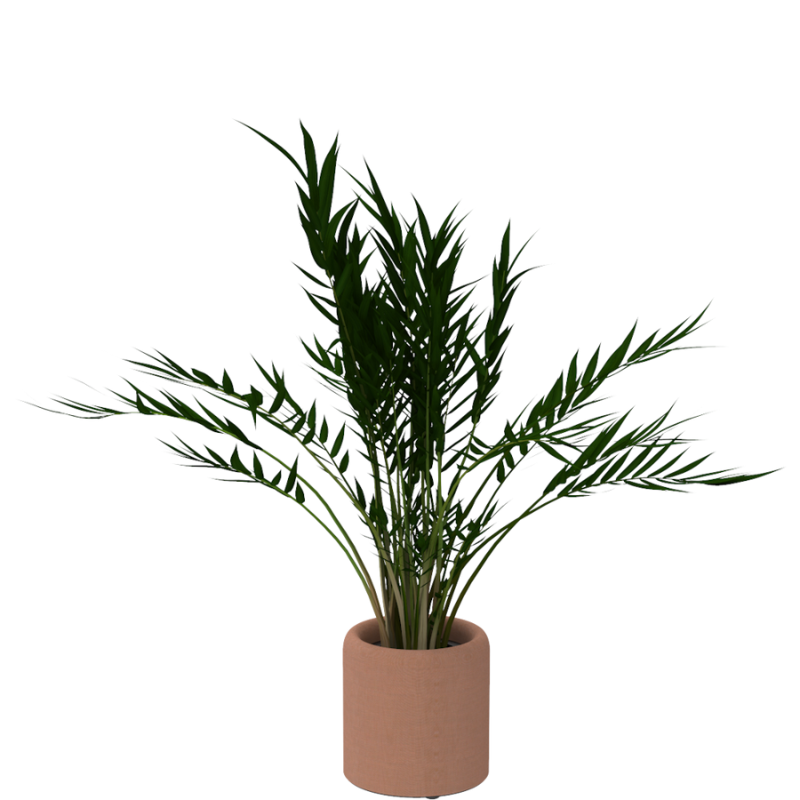 - BuzziSpace BuzziPlanter Acoustic Plant Pot - Muffle Acoustics Limited