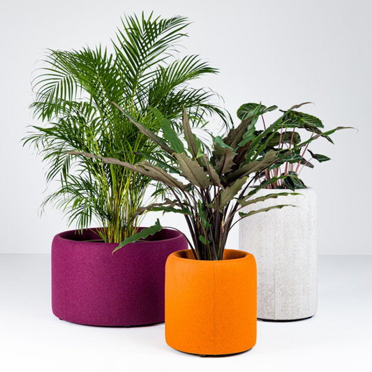 Muffle Acoustics Limited - BuzziSpace BuzziPlanter Acoustic Plant Pot - Muffle Acoustics Limited