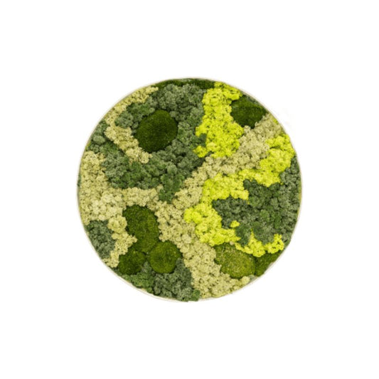 Cercle de mousse MuffleMoss | Panneau mural -  Chignon et renne