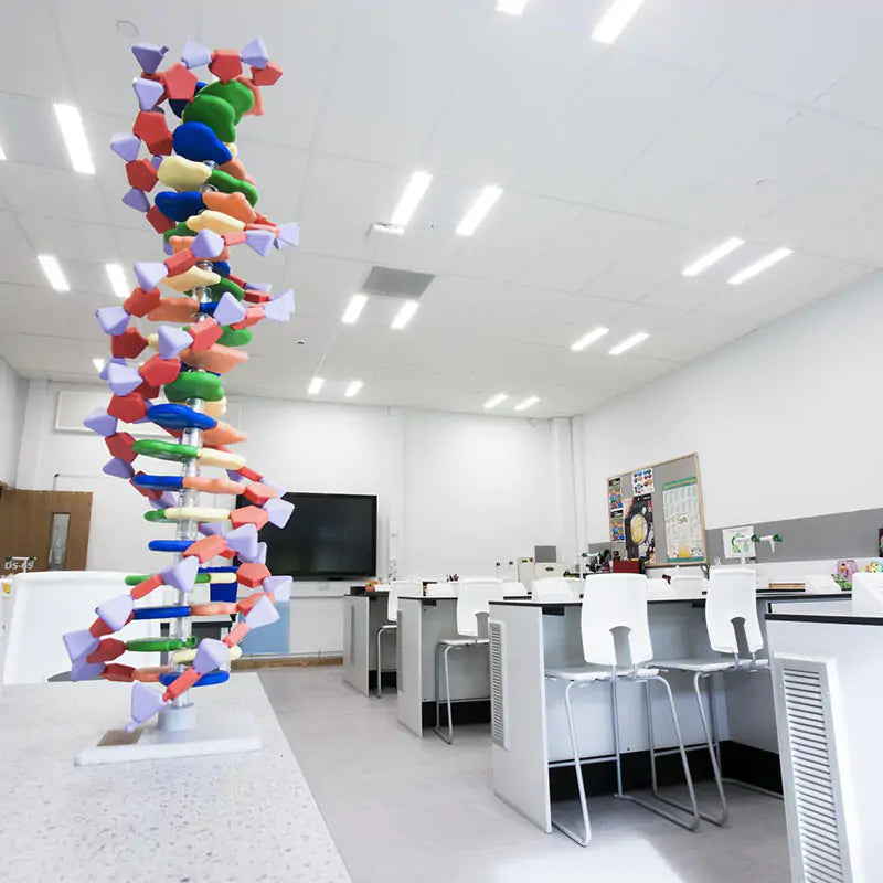 - Ecophon Combison™ Duo E Acoustic Ceiling Tiles - 600 x 600 x 55mm (Pack of 40) - Muffle Acoustics Limited