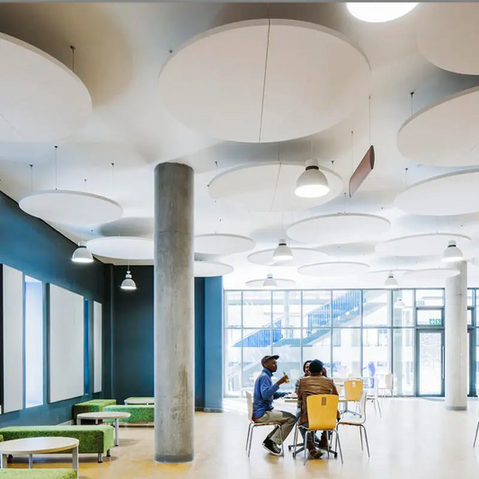 Ecophon - Ecophon Solo™ Circle XL Acoustic Raft - White Frost - Muffle Acoustics Limited