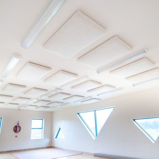 Panneau acoustique Woolly Shepherd Wellington