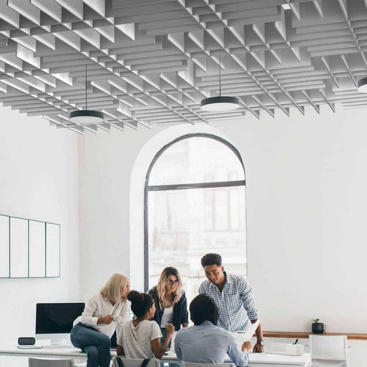 Radeau acoustique à grille 14six8