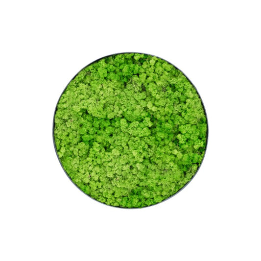 Cercle de mousse MuffleMoss | Panneau mural - Renne