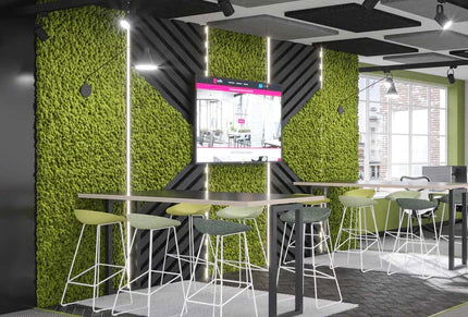 - Acoustic Moss - Muffle Acoustics Limited