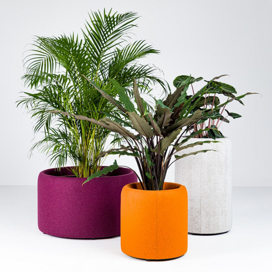 Pot de fleurs acoustique BuzziSpace BuzziPlanter