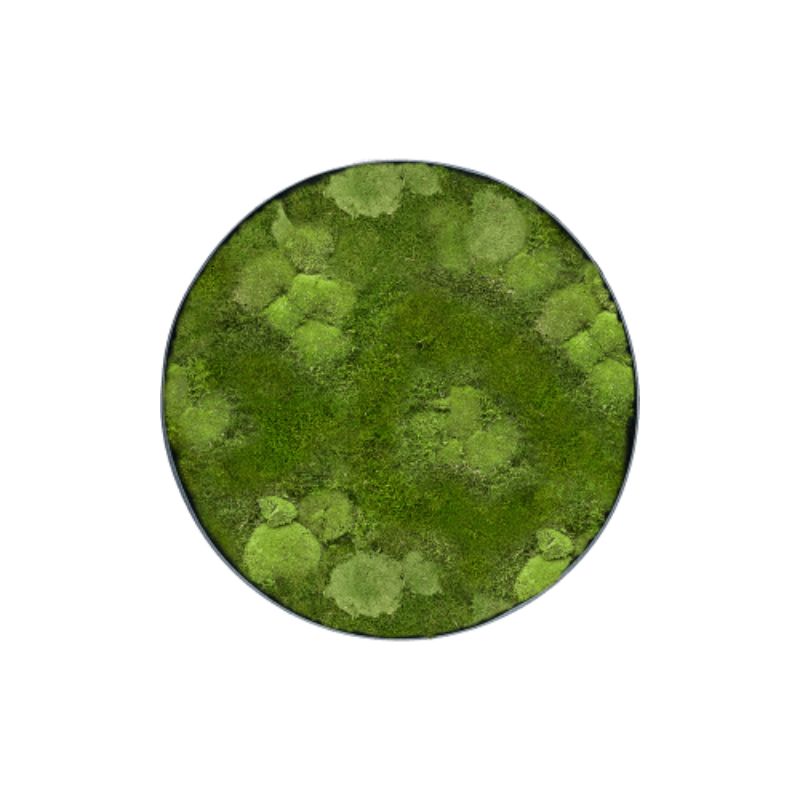 Cercle de mousse MuffleMoss | Panneau mural - chignon et forêt