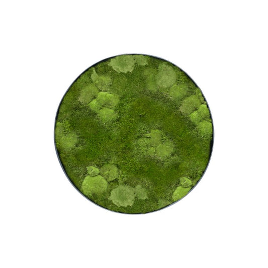 Cercle de mousse MuffleMoss | Panneau mural - chignon et forêt