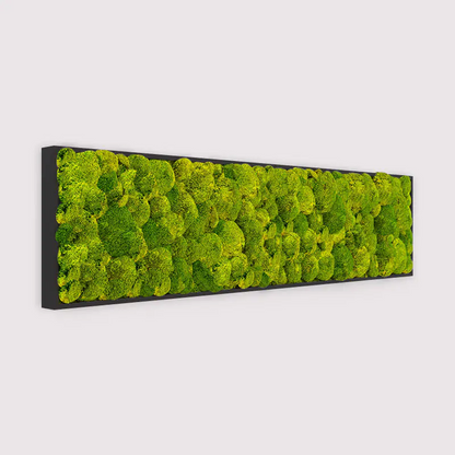 Panneau mural rectangulaire en mousse de riz MuffleMoss