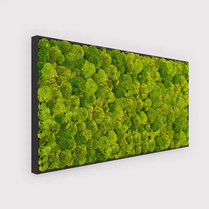 Panneau mural rectangulaire en mousse de riz MuffleMoss