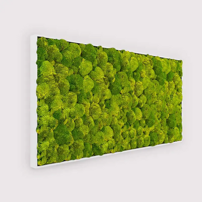 Panneau mural rectangulaire en mousse de riz MuffleMoss