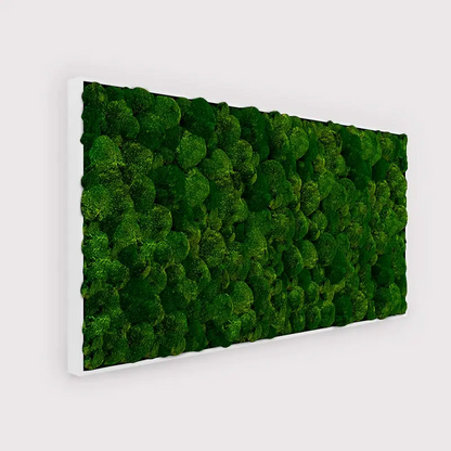 Panneau mural rectangulaire en mousse de riz MuffleMoss