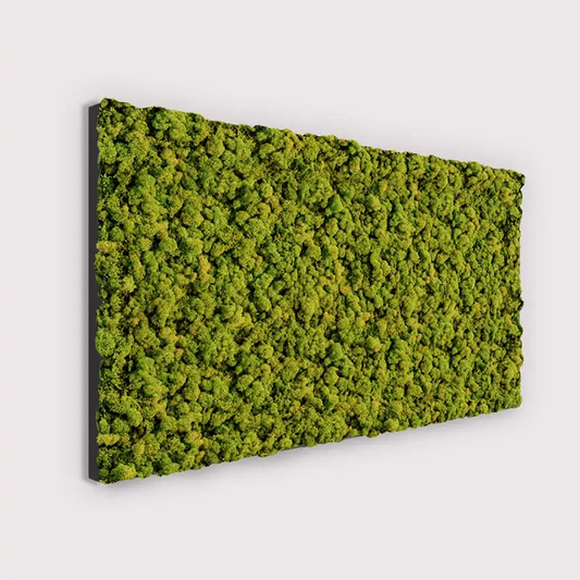 MuffleMoss Rectangle - Panneau mural en mousse de renne