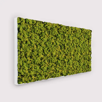 MuffleMoss Rectangle - Panneau mural en mousse de renne